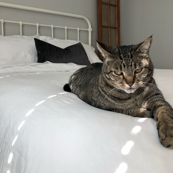 SOLD Kirkland White Linen Sheets - Picture 5 of 6